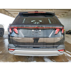 2025 HYUNDAI TUCSON 5NMJBCDE2SH467719 59328155