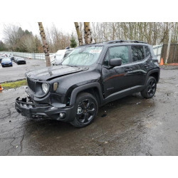 2021 JEEP RENEGADE ZACNJDAB1MPM96241 47805085