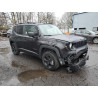 2021 JEEP RENEGADE ZACNJDAB1MPM96241 47805085