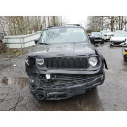 2021 JEEP RENEGADE ZACNJDAB1MPM96241 47805085