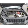 2021 JEEP RENEGADE ZACNJDAB1MPM96241 47805085