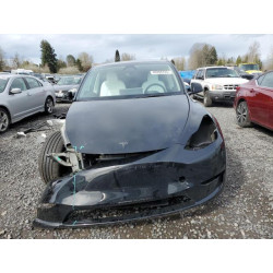2025 TESLA MODEL Y 7SAYGAEE0SF310181 49398705