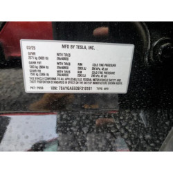 2025 TESLA MODEL Y 7SAYGAEE0SF310181 49398705