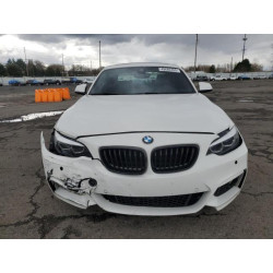 2020 BMW 2 SERIES WBA2J1C0XL7E47759 49680765