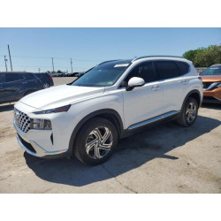 2023 HYUNDAI SANTA FE 5NMS3DAJ5PH607987 54089825