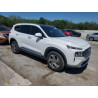 2023 HYUNDAI SANTA FE 5NMS3DAJ5PH607987 54089825