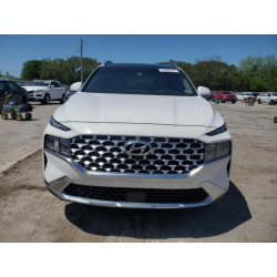 2023 HYUNDAI SANTA FE 5NMS3DAJ5PH607987 54089825