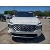 2023 HYUNDAI SANTA FE 5NMS3DAJ5PH607987 54089825