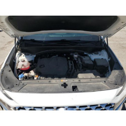2023 HYUNDAI SANTA FE 5NMS3DAJ5PH607987 54089825