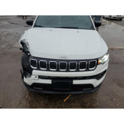 2023 JEEP COMPASS 3C4NJDBN4PT512845 55153135