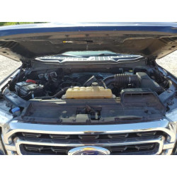 2021 FORD F-150 1FTFW1E5XMFA47980 56737215