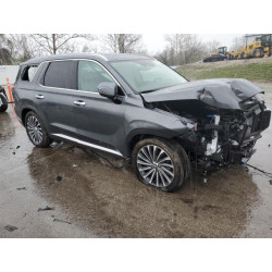 2024 HYUNDAI PALISADE KM8R7DGE8RU805340 51668595