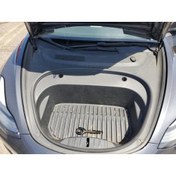 2022 TESLA MODEL 3 5YJ3E1EB7NF109045 56118855