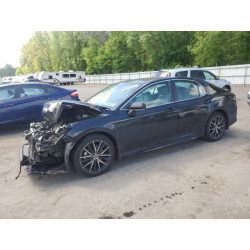 2024 TOYOTA CAMRY 4T1G31AK7RU622561 56079375