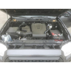 2023 TOYOTA TACOMA 3TMCZ5AN4PM635255 58141775