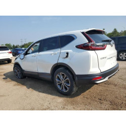 2022 HONDA CRV 7FARW2H88NE002586 59690655