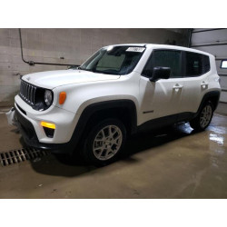 2023 JEEP RENEGADE ZACNJDB10PPP67896 60837765