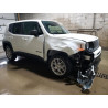 2023 JEEP RENEGADE ZACNJDB10PPP67896 60837765