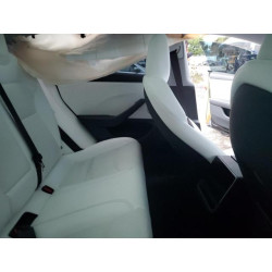 2025 TESLA MODEL 3 5YJ3E1EA2SF907679 48718815