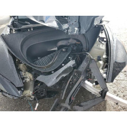 2025 TESLA MODEL 3 5YJ3E1EA2SF907679 48718815