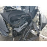 2025 TESLA MODEL 3 5YJ3E1EA2SF907679 48718815
