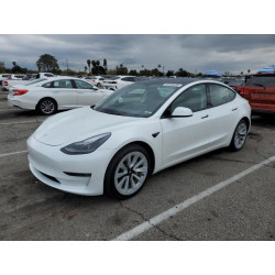 2023 TESLA MODEL 3 5YJ3E1EA8PF683731 48896555