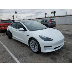 2023 TESLA MODEL 3 5YJ3E1EA8PF683731 48896555
