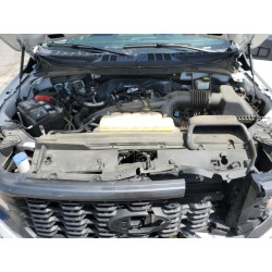 2024 FORD F150 STX 1FTEX2KP6RKD49897 51823465