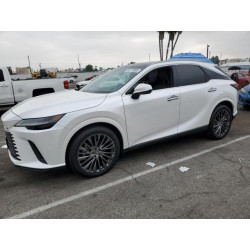 2023 LEXUS RX350 2T2BAMBA0PC013734 55179335