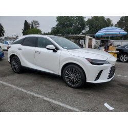 2023 LEXUS RX350 2T2BAMBA0PC013734 55179335