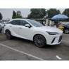 2023 LEXUS RX350 2T2BAMBA0PC013734 55179335