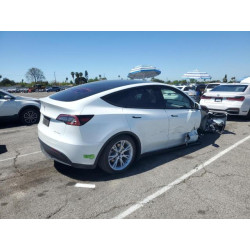 2023 TESLA MODEL Y 7SAYGDEE3PA064507 55875975