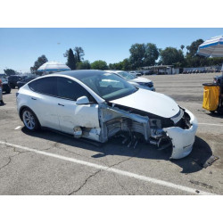 2023 TESLA MODEL Y 7SAYGDEE3PA064507 55875975