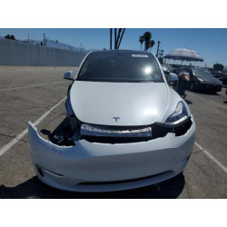 2023 TESLA MODEL Y 7SAYGDEE3PA064507 55875975