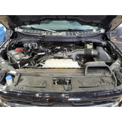 2024 FORD All Models 1FTEW3KP8RKD62143 59890725