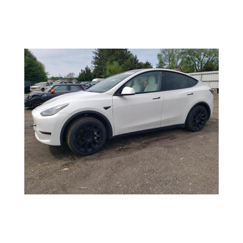 2022 TESLA MODEL Y 7SAYGAEE2NF359242 48869655 2022 TESLA MODEL Y 7SAYGAEE2NF359242 48869655