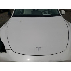 2022 TESLA MODEL Y 7SAYGAEE2NF359242 48869655