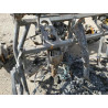 2020 ASSM FORD M15854A255K061620 48312455