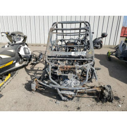 2020 ASSM FORD M15854A255K061620 48312455