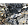 2020 ASSM FORD M15854A255K061620 48312455