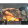2025 TESLA MODEL Y 7SAYGDED2SA374423 56725565