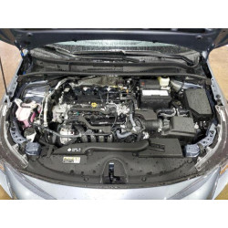 2025 TOYOTA COROLLA 5YFB4MDE1SP310905 61575065