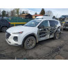 2020 HYUNDAI SANTA FE 5NMS2CAD3LH244428 54794105