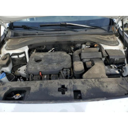2020 HYUNDAI SANTA FE 5NMS2CAD3LH244428 54794105