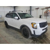 2021 KIA TELLURIDE 5XYP5DHC7MG152914 54172835