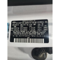 2021 KIA TELLURIDE 5XYP5DHC7MG152914 54172835