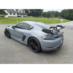 2023 PORSCHE CAYMAN WP0AE2A85PS280082 61538745