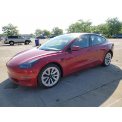 2023 TESLA MODEL 3 5YJ3E1EA5PF456626 57059215