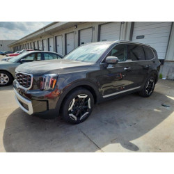 2025 KIA TELLURIDE 5XYP64GC7SG569834 60002555