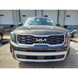 2025 KIA TELLURIDE 5XYP64GC7SG569834 60002555